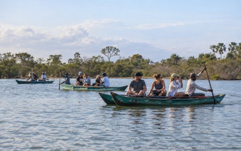 Boat Safaris - Mango Resorts & Spa