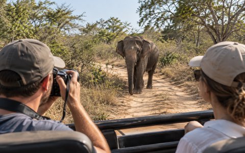 Kumana Wildlife Safari - Mango Resorts & Spa